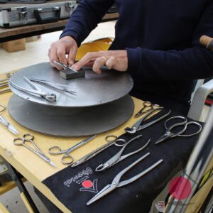 Como fazer seu primeiro bonsai? Ferramentas essenciais